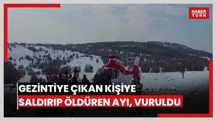 Gezintiye çıkan kişiye saldırıp öldüren ayı, vuruldu