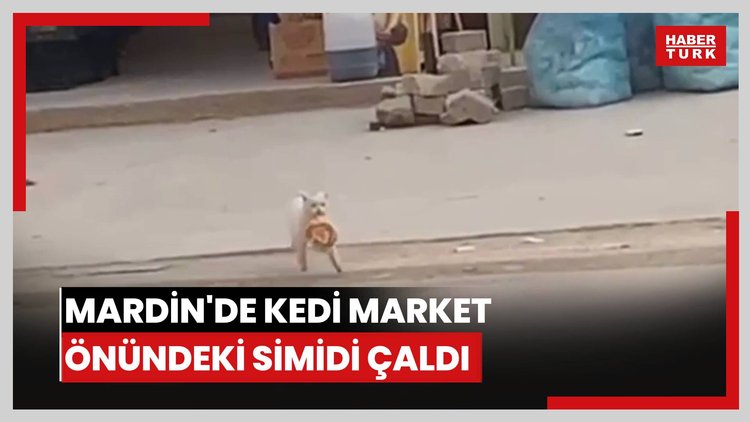 Mardin'de kedi market önündeki simidi çaldı