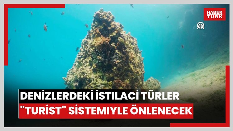 Denizlerdeki istilacı türler "TurIST" sistemiyle önlenecek