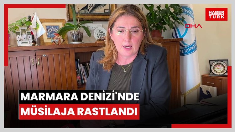 Marmara Denizi'nde müsilaja rastlandı