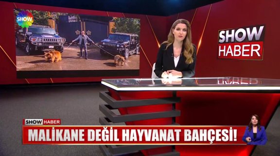 Malikane değil hayvanat bahçesi!