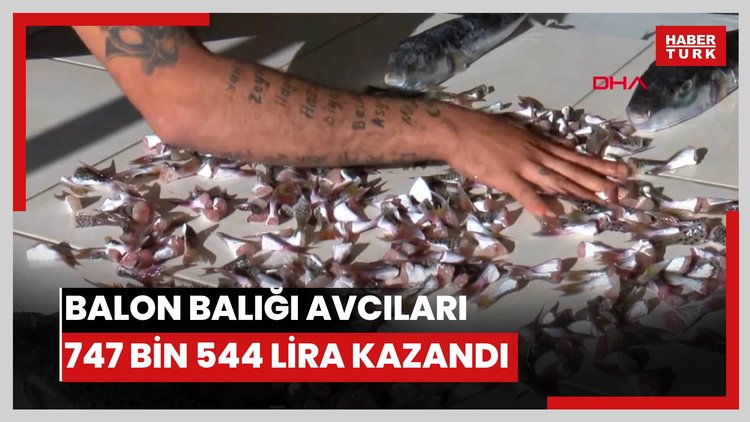 Antalya'da 'balon balığı avcıları' 747 bin 544 lira kazandı