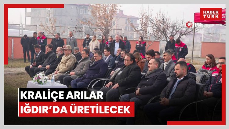 Kraliçe arılar Iğdır'da üretilecek