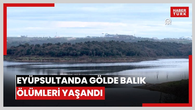 İstanbul - Eyüpsultanda gölde balık ölümleri yaşandı