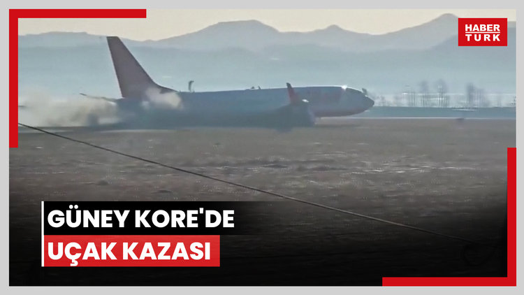 Güney Kore'de uçak kazası! Çok sayıda kişi hayatını kaybetti
