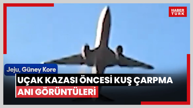 Uçak kazası öncesi kuş çarpma anı görüntüleri