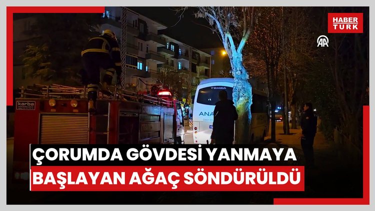 Çorumda gövdesi yanmaya başlayan ağaç söndürüldü