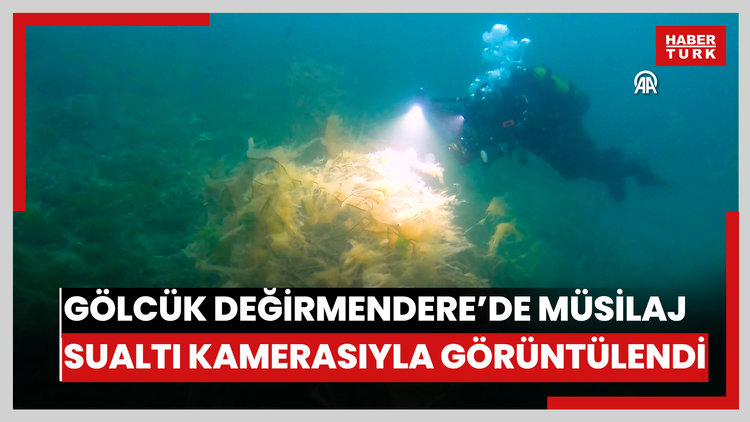 Gölcük Değirmendere'de müsilaj sualtı kamerasıyla görüntülendi