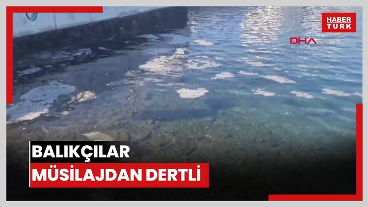 Balıkçılar müsilajdan dertli