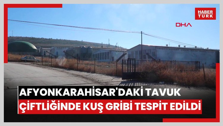 Afyonkarahisar'daki tavuk çiftliğinde kuş gribi tespit edildi