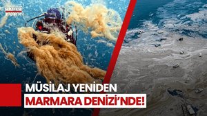 Marmara Denizi'nde 