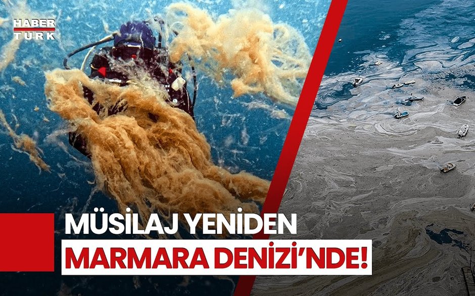 Marmara Denizi'nde 