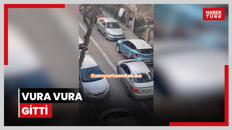 Vura vura gitti