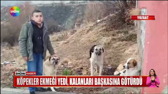 Çocuklar malzemelerin sahibini arıyor!