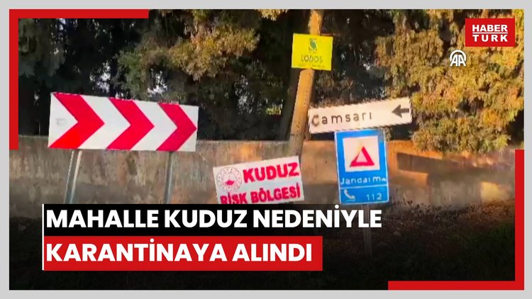 Bir mahalle kuduz nedeniyle karantinaya alındı