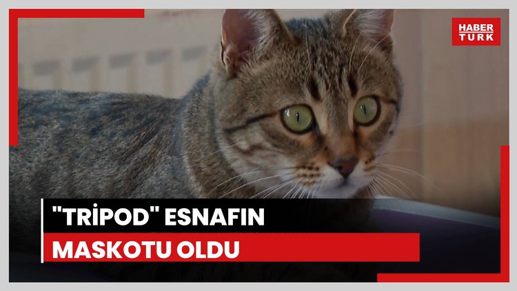 "Tripod" esnafın maskotu oldu