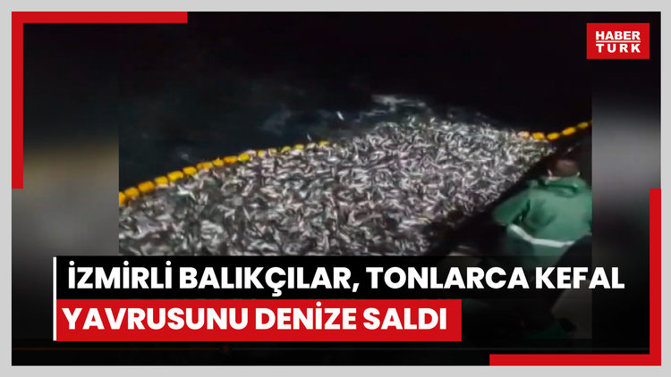 İzmirli balıkçılar, tonlarca kefal yavrusunu denize saldı