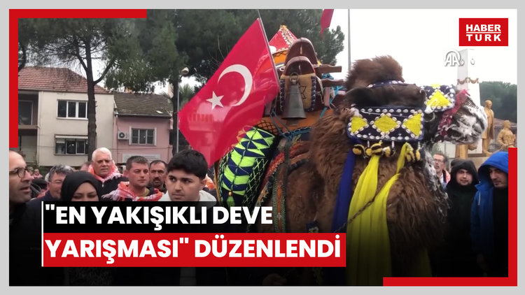 En Yakışıklı Deve Yarışması düzenlendi