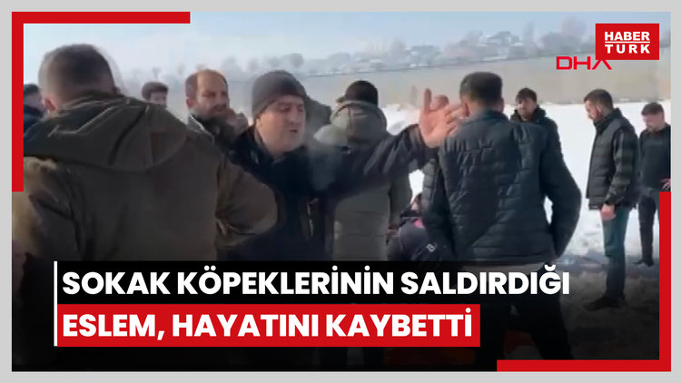 Sokak köpeklerinin saldırdığı Eslem, hayatını kaybetti