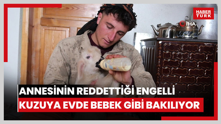 Annesinin reddettiği engelli kuzuya evde bebek gibi bakılıyor