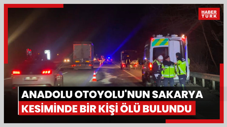 Anadolu Otoyolu'nun Sakarya kesiminde bir kişi ölü bulundu