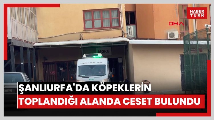 Şanlıurfa'da köpeklerin toplandığı alanda ceset bulundu