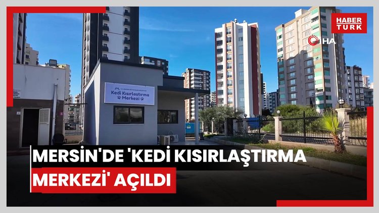 Mersin'de 'Kedi Kısırlaştırma Merkezi' açıldı