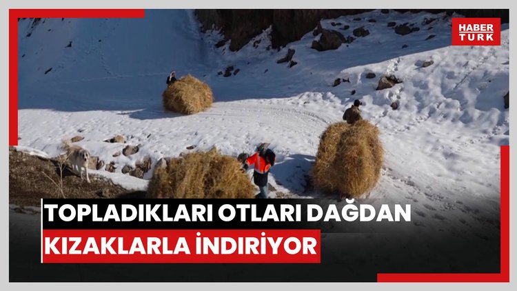 Köylüler, yazın hayvanları için topladıkları otları dağdan kızaklarla indiriyor