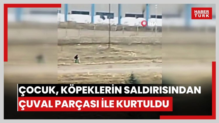 Sokak köpeklerinin saldırısına uğrayan çocuk, çuval parçası ile kurtuldu