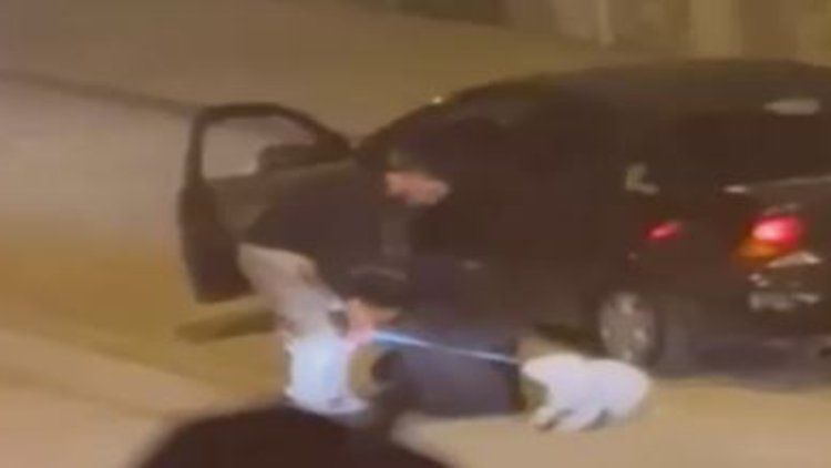Polatlı'da kadına ve köpeğine saldırı anı kamerada