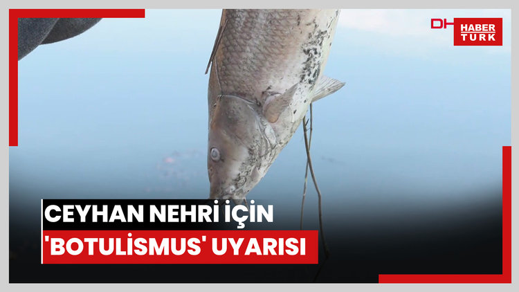 Ceyhan Nehri için 'botulismus' uyarısı: Sinir sistemini felç edip, ölümlere neden oluyor