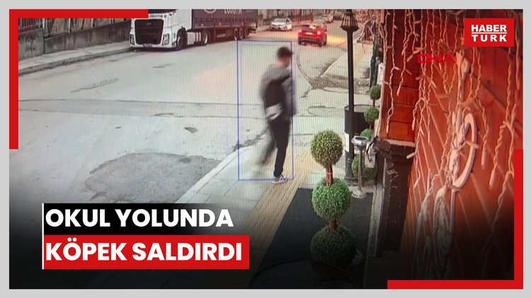 Okul yolunda köpek saldırdı; lise öğrencisi kolundan yaralandı