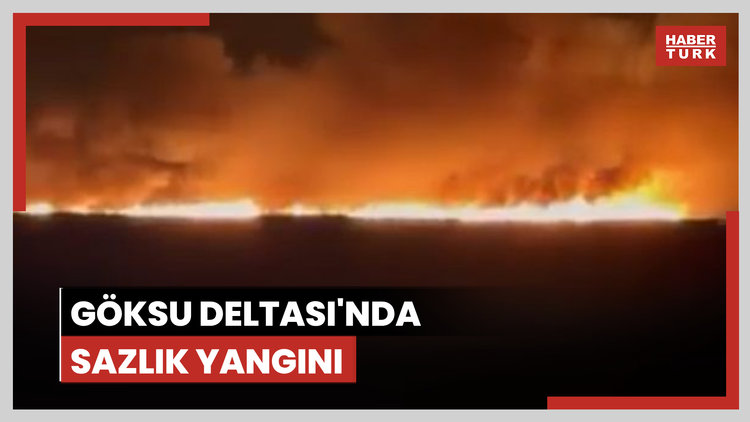 Göksu Deltası'nda sazlık yangını
