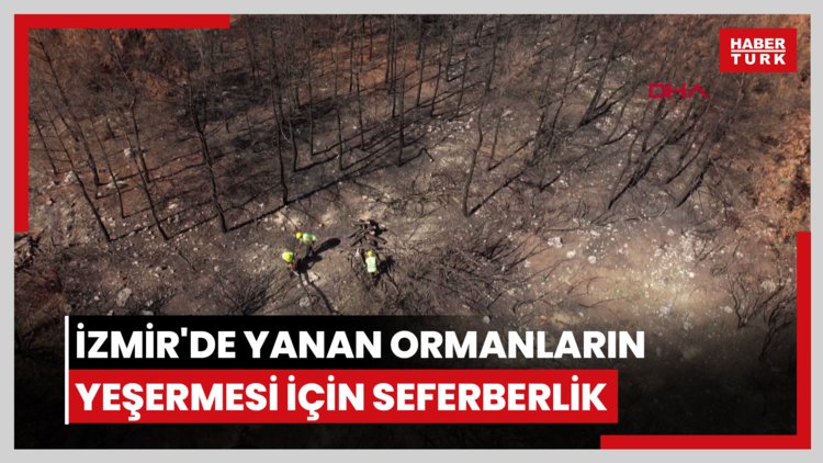 İzmir'de yanan ormanların yeşermesi için seferberlik
