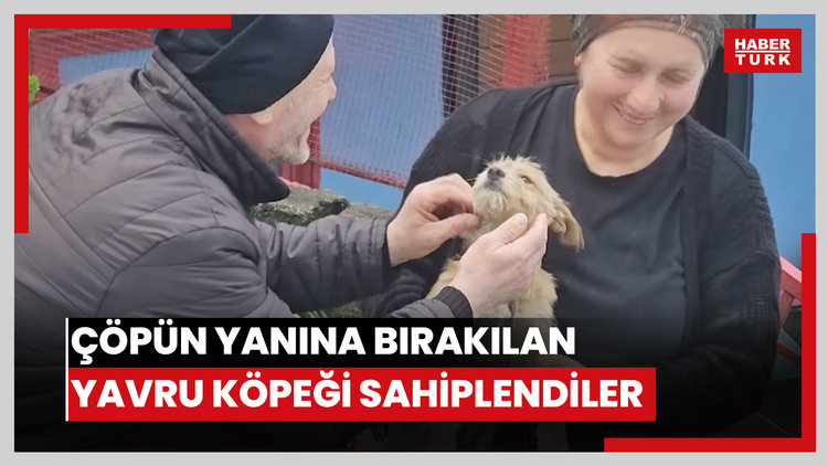 Çöp konteynerinin yanına bırakılan yavru köpeği sahiplendiler