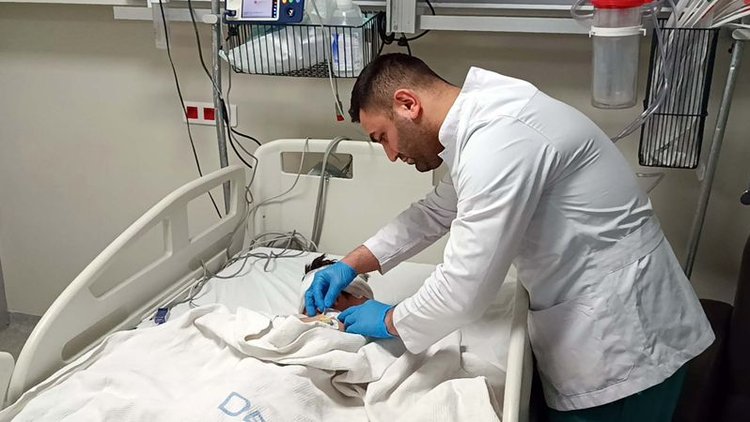 Adıyaman'da 5 yaşındaki çocuk köpeklerin saldırısında ağır yaralandı