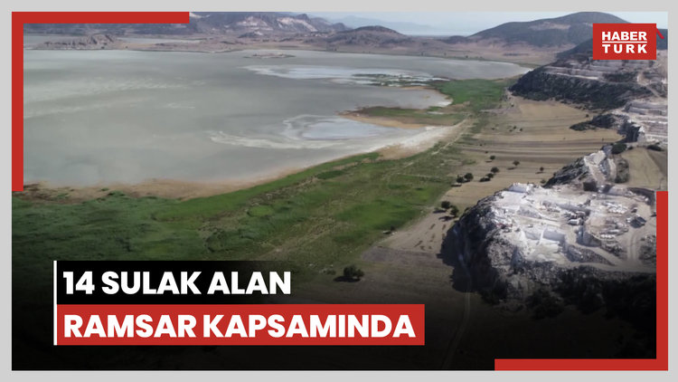 'Son 50 yılda, 2 Marmara Denizi büyüklüğünde sulak alan kaybedildi'