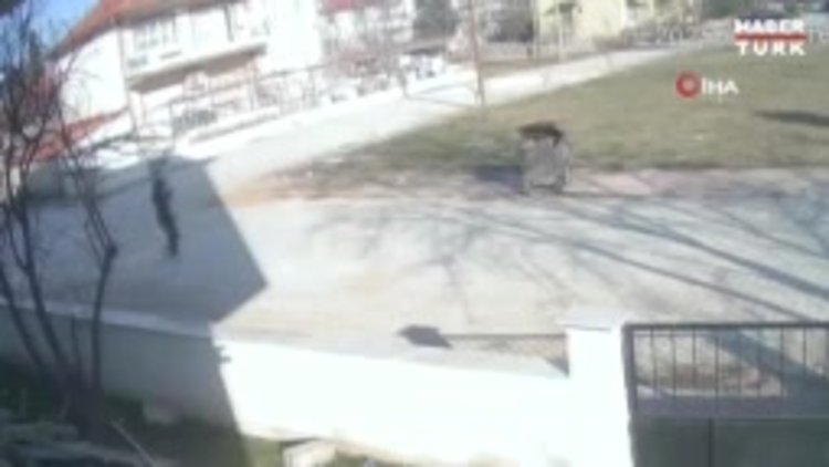 Vicdansızlık! Ayağını bağladığı köpeği çöpe attı