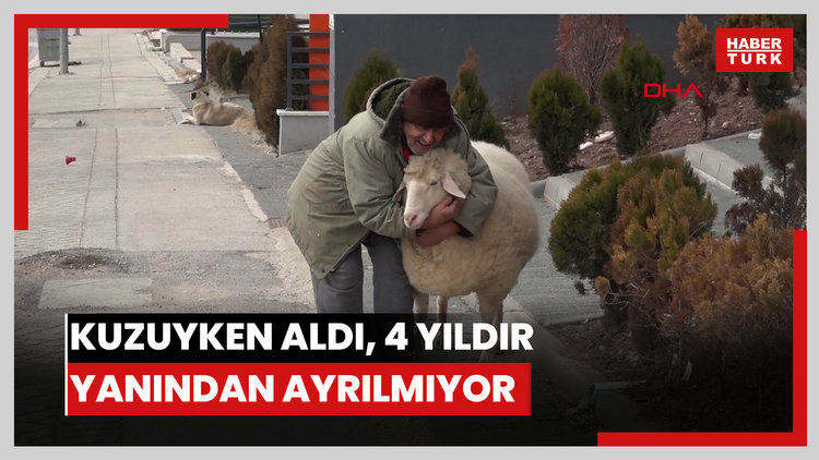 Kuzuyken aldı, 4 yıldır yanından ayrılmıyor