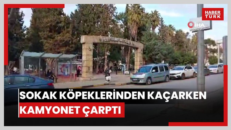 Sokak köpeklerinden kaçarken kamyonet çarptı: Kaza anı kamerada