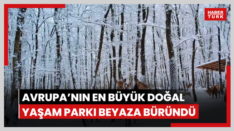 Avrupa'nın en büyük doğal yaşam parkı beyaza büründü
