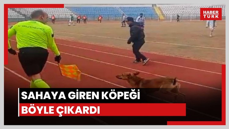 Sahaya giren köpeği böyle çıkardı