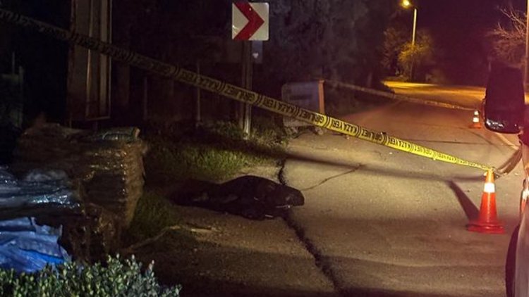 Bodrum'da trafik kazasında engelli kalan kişi, başka bir kazada öldü