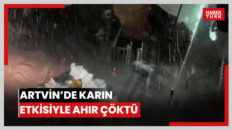 Artvin'de karın etkisiyle ahır çöktü, 50 küçükbaş hayvan telef oldu