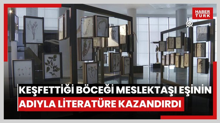 Kop Dağında keşfettiği böceği meslektaşı eşinin adıyla literatüre kazandırdı