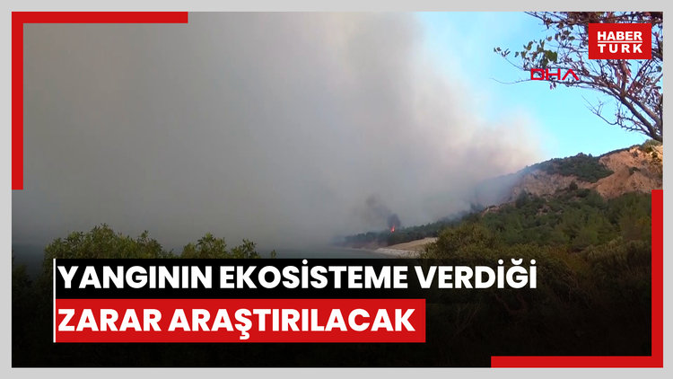Çanakkale - Gelibolu Yarımadası'nda çıkan yangının ekosisteme verdiği zarar araştırılacak