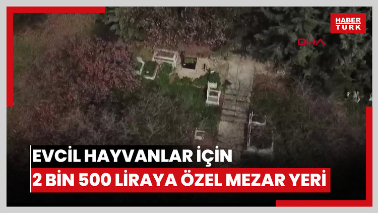 Evcil hayvanlar için 2 bin 500 liraya özel mezar yeri; papağan da gömüldü tavşan da