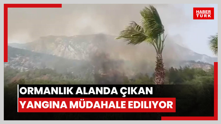 Ormanlık alanda çıkan yangına müdahale ediliyor