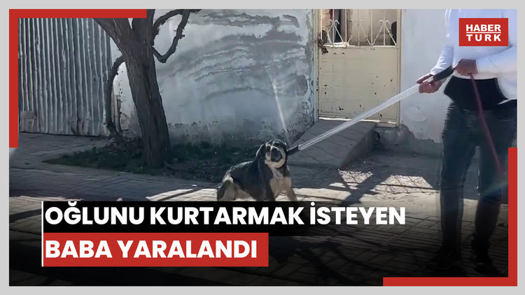 Karaman'da köpeğin saldırısında oğlunu kurtarmak isteyen baba yaralandı