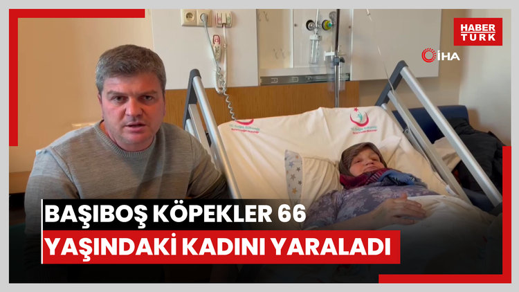 Başıboş köpekler 66 yaşındaki kadını yaraladı